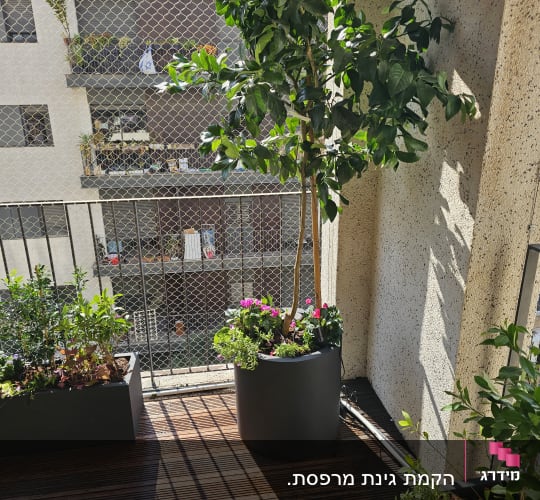 עציצים עם צמחים ופרחים במרפסת